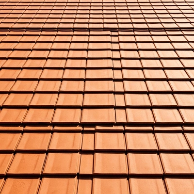 Close-up of a clean tile roof with sunlight reflecting, showing no moss or debris, no text, no words, no typography, no labels, clean image