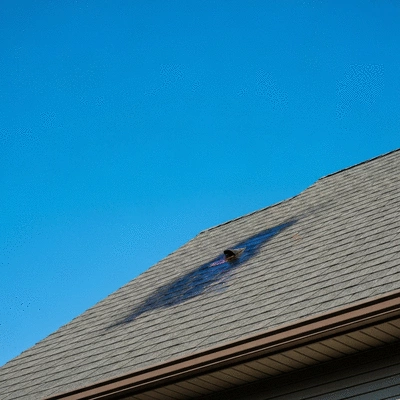 Toit de maison avec une petite fuite d'eau, illustrant l'urgence d'agir